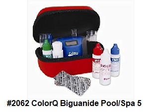 #2062 ColorQ Biguandie Pool/Spa 5